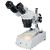 Microscopio estéreo NERIOX BV